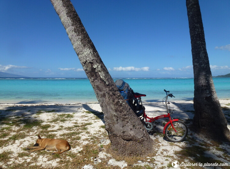 site de rencontre polynesie