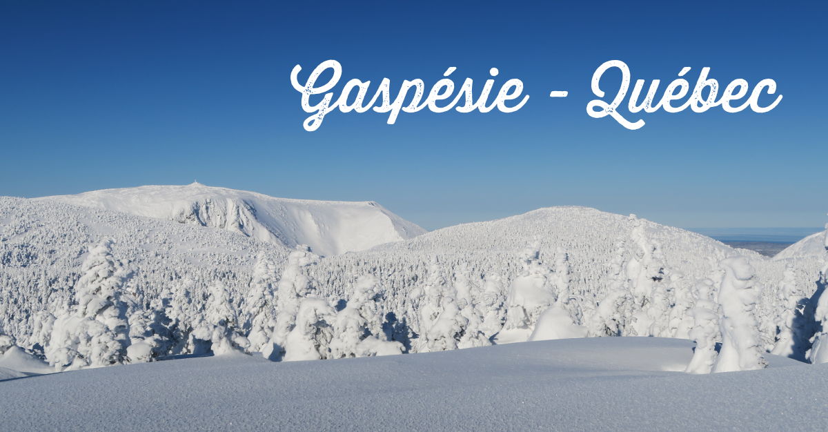 agence de rencontre gaspésie